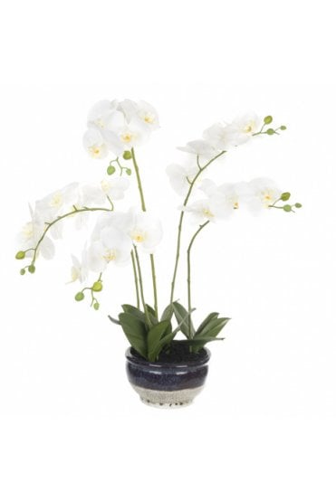 Artificial Orchid Arrangement in Mottled Blue Base