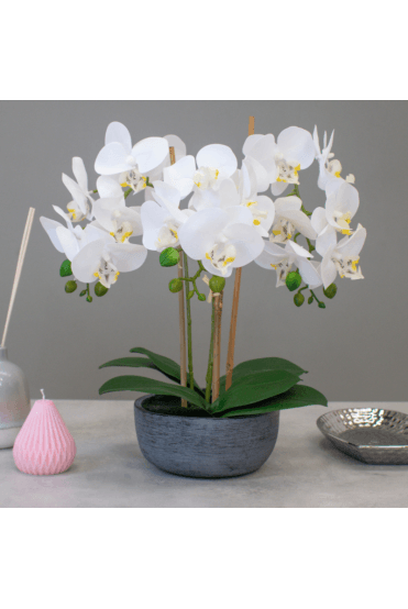 Artificial Orchid Display 45cm