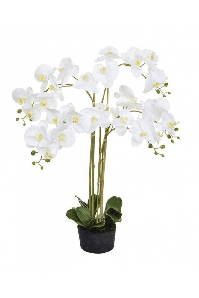 The Artificial Plants Shop Artificial Orchid on Moss Base