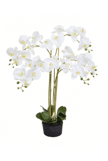 Artificial Orchid on Moss Base