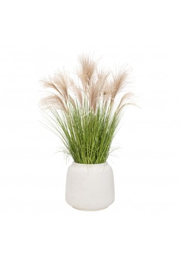 Artificial Pampas Grass in Cotswold Pot