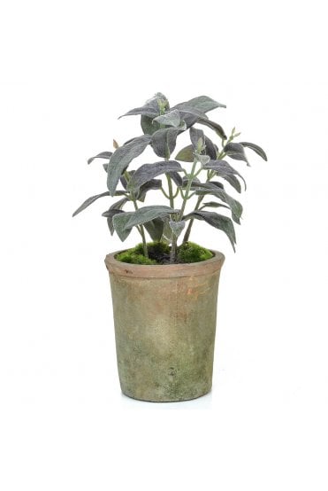 Artificial Potted Herb - Sage