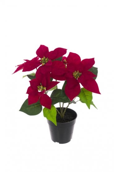 Artificial Potted Poinsettia Red