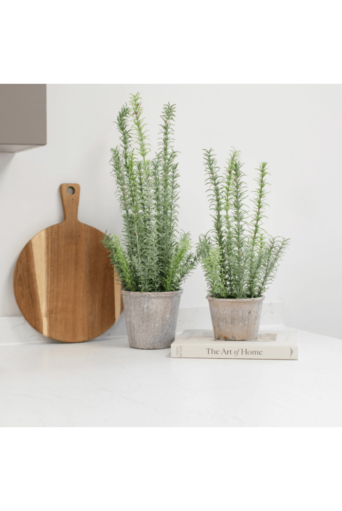 Artificial Potted Rosemary Plant - Available in 2 Sizes