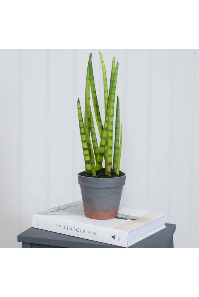 The Artificial Plants Shop Artificial Potted Sansevieria Plant 42cm
