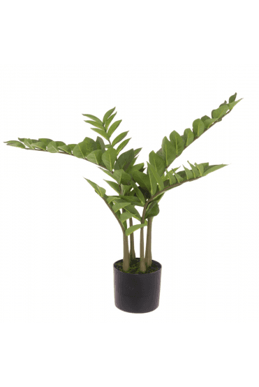 Artificial Potted Zamiifolia Tree