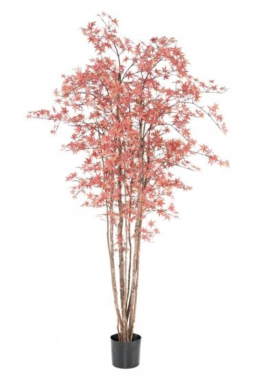 Artificial Red Aralia Tree 210cm UV