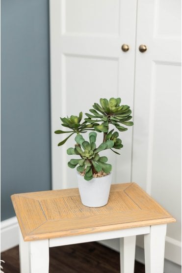 Artificial Succulent Arrangement - Triple Head