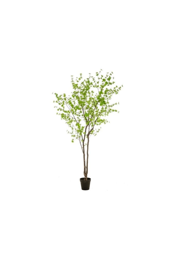 The Artificial Plants Shop Artificial Tropaeolum Tree 3m