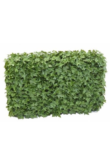 Artificial UV Protected Ivy Hedge