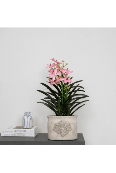 Artificial Vanda Orchid Arrangement