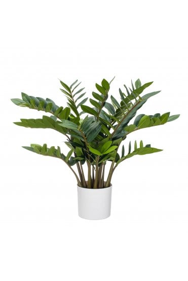 Artificial Zamio Zami Plant