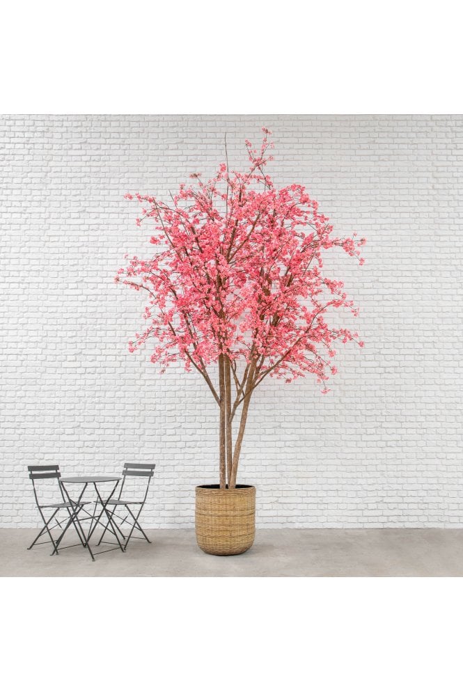 Cherry Blossom KDP Collection – Fire-Resistant Feature Trees (300cm & 400cm)