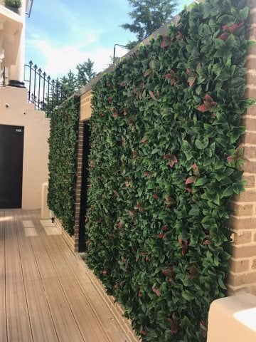 Artificial Laurel Living Wall