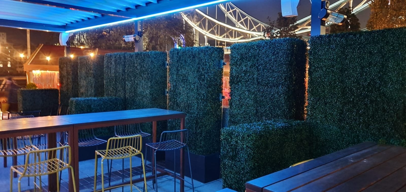 Boxwood Hedge With Perspex