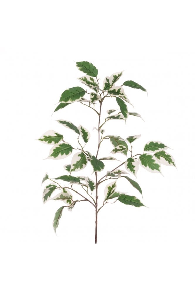Eco Ficus Leaf Spray 91cm 