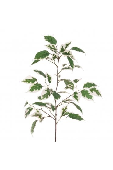 Eco Ficus Leaf Spray 91cm 