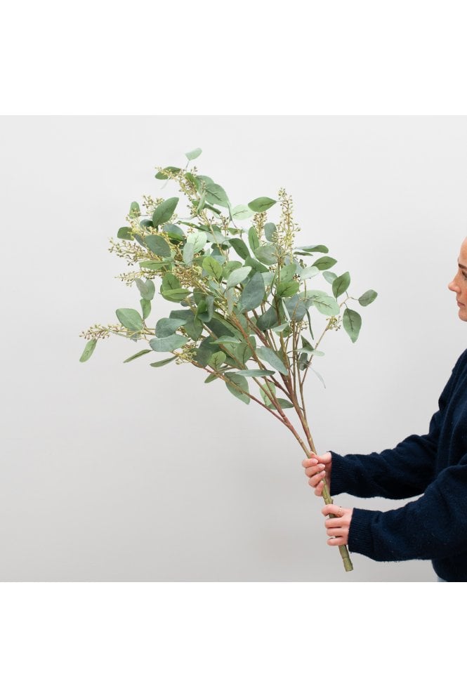 Eucalyptus in seed 1.15m