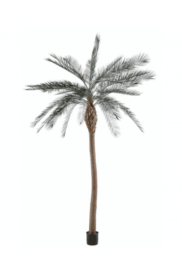 Green artificial phoenix of 280 cm wide trunk UV Protected