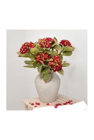 Hydrangea- Burgundy 