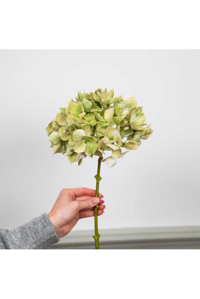  Hydrangea Green 46cm 