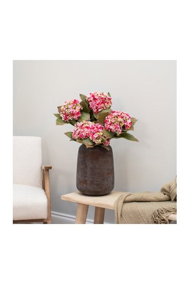 Hydrangea- Pink 