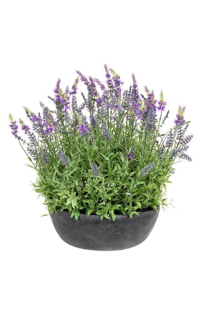 Lavender in Bowl Q 60cm