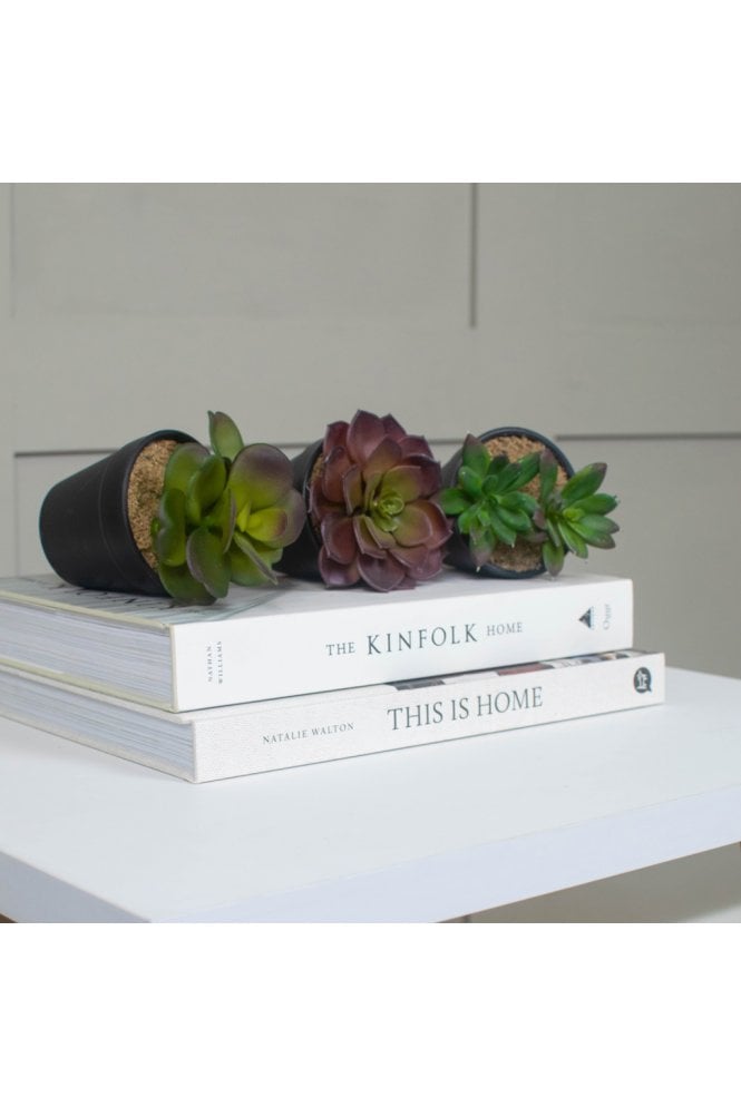 The Artificial Plants Shop Pack of 12 Artificial Succulents