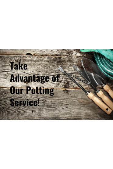 Potting Charge