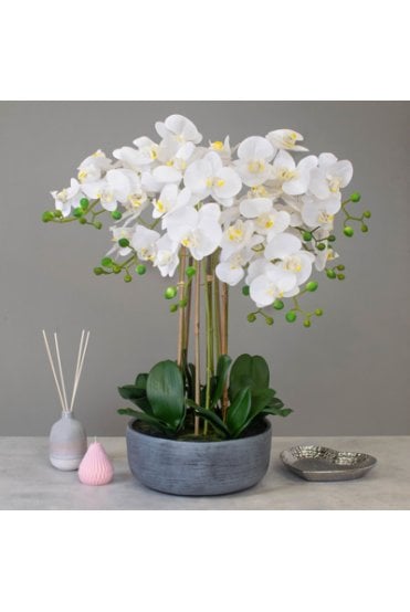 Real Touch Artificial Orchid Display