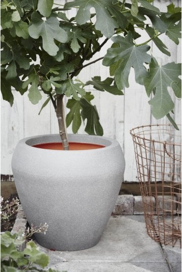 Tapered Vase Planters in Choice of Colours