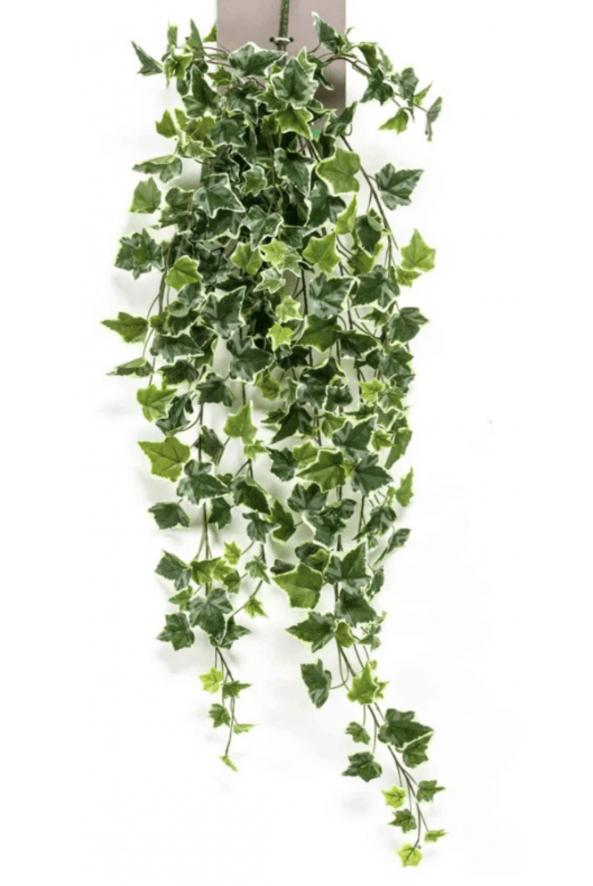The Artificial Plants Shop 100cm Artificial Green and Variegated Ivy Bush