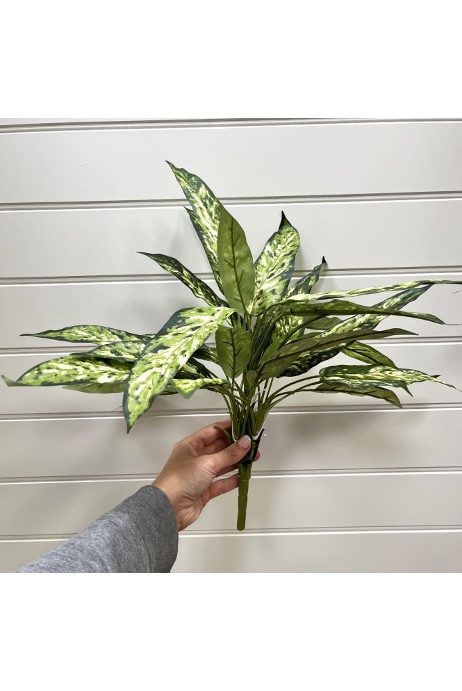 The Artificial Plants Shop Artificial Aglo Plant IFR
