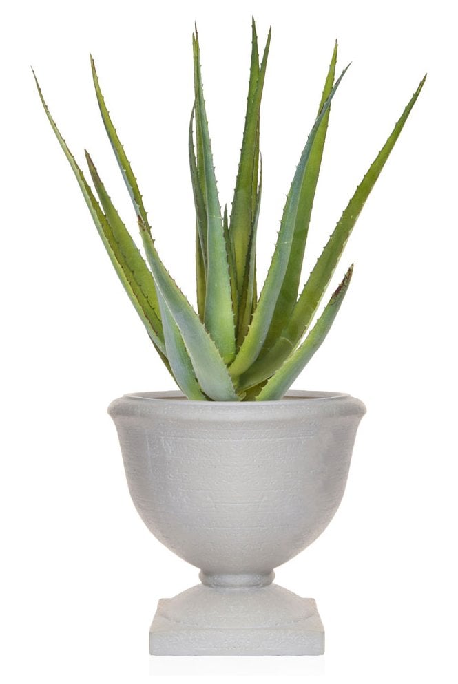 The Artificial Plants Shop Artificial Aloe in Urn Arrangement