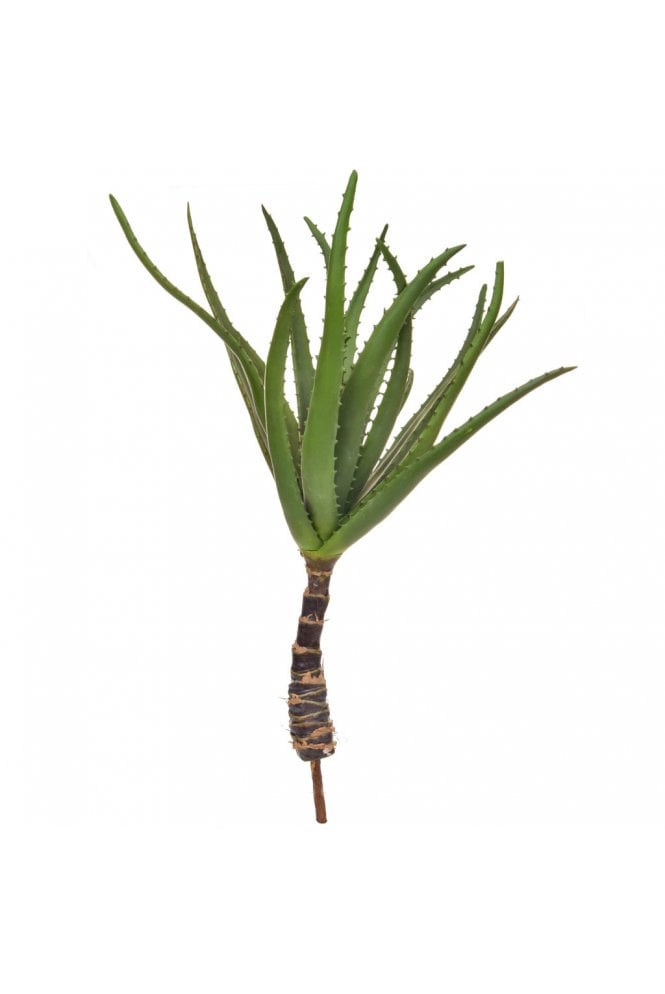 The Artificial Plants Shop Artificial Aloe with Stem
