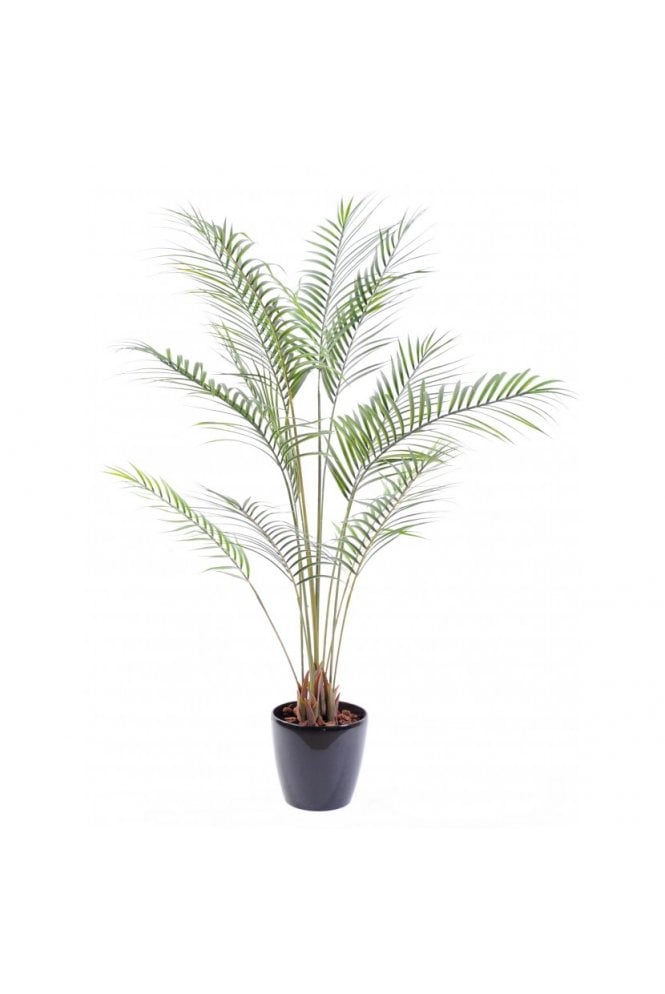 The Artificial Plants Shop Artificial Areca Palm Tree 160cm