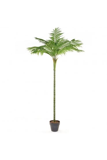 Artificial Areca Palm Tree Tall Single Stem