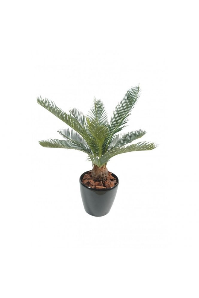 The Artificial Plants Shop Artificial Baby Cycas Palm