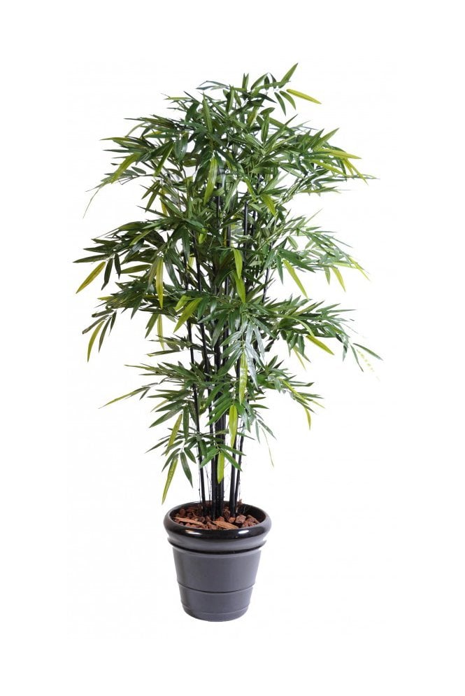 The Artificial Plants Shop Artificial Bamboo Black Cane Type B