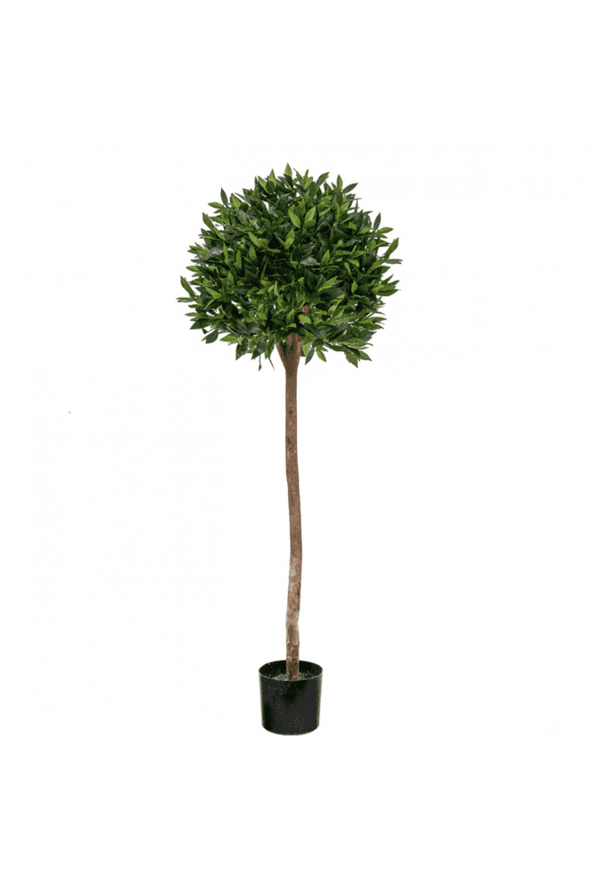 The Artificial Plants Shop Artificial Bay Laurel Ball Tree