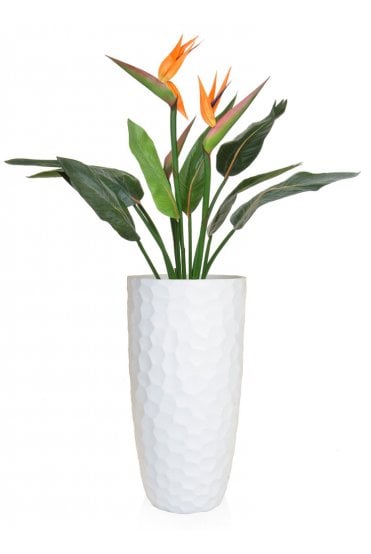 Artificial Bird of Paradise Flowering Arrangement - White Base