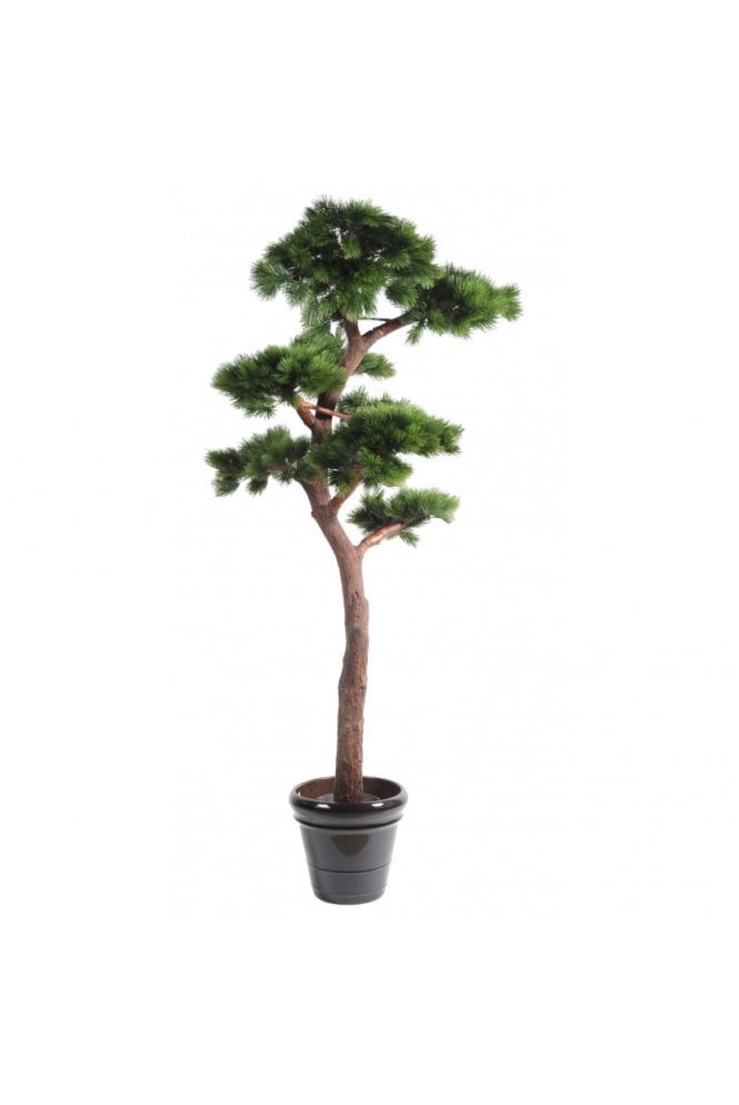 The Artificial Plants Shop Artificial Bonsai Pine Tree UV Resistant