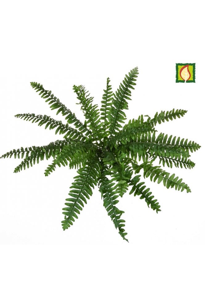 The Artificial Plants Shop Artificial Boston Fern Flame Retardant 36cm