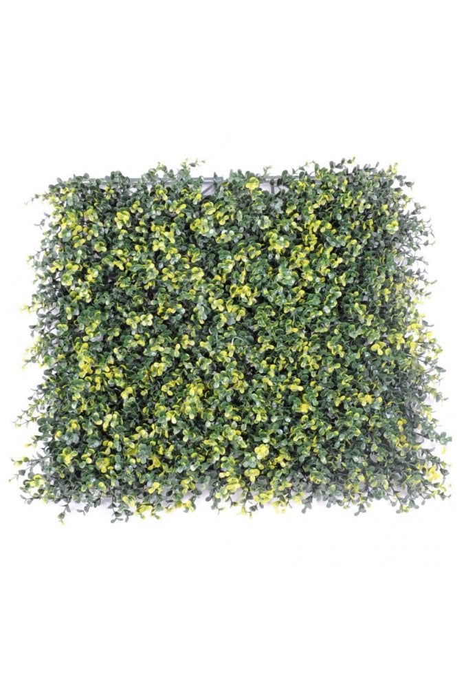 The Artificial Plants Shop Artificial Boxwood Panel B