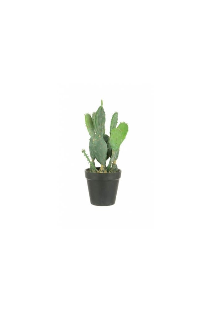 The Artificial Plants Shop Artificial Cactus 31cm
