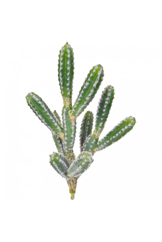 The Artificial Plants Shop Artificial Cactus Plant
