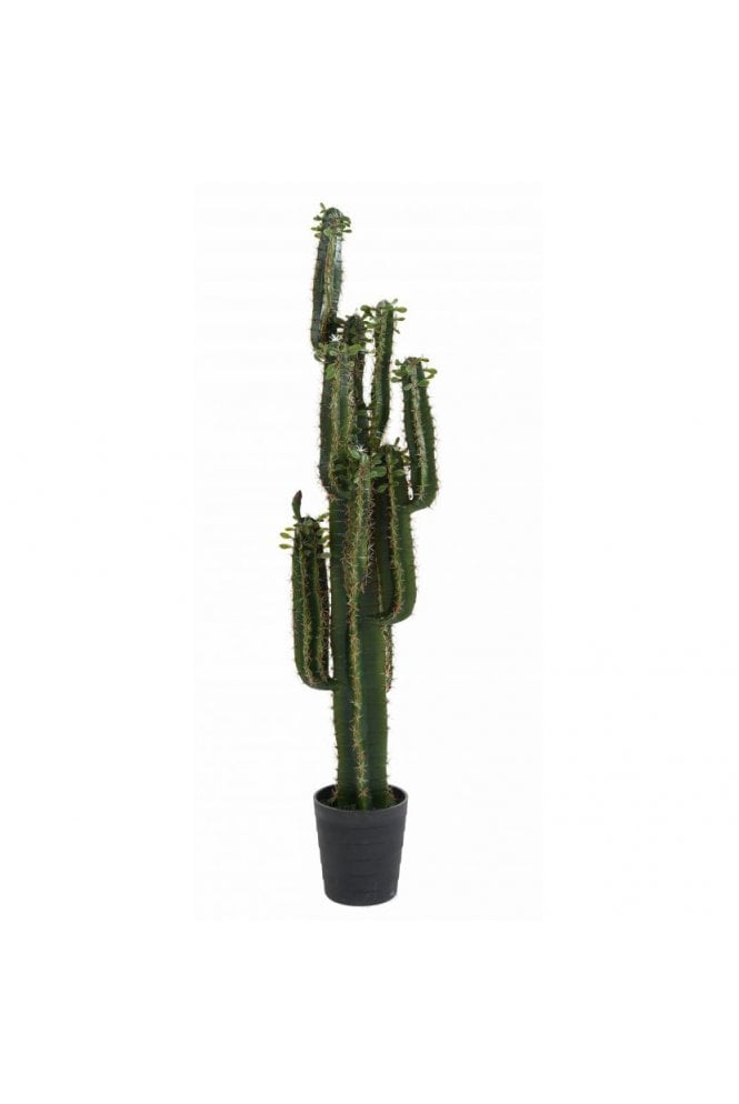 The Artificial Plants Shop Artificial Cactus Tree