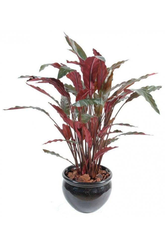 The Artificial Plants Shop Artificial Calathea Plant Green/Red 80cm