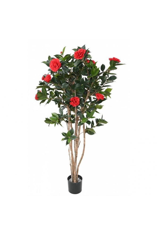 The Artificial Plants Shop Artificial Camelia Tree