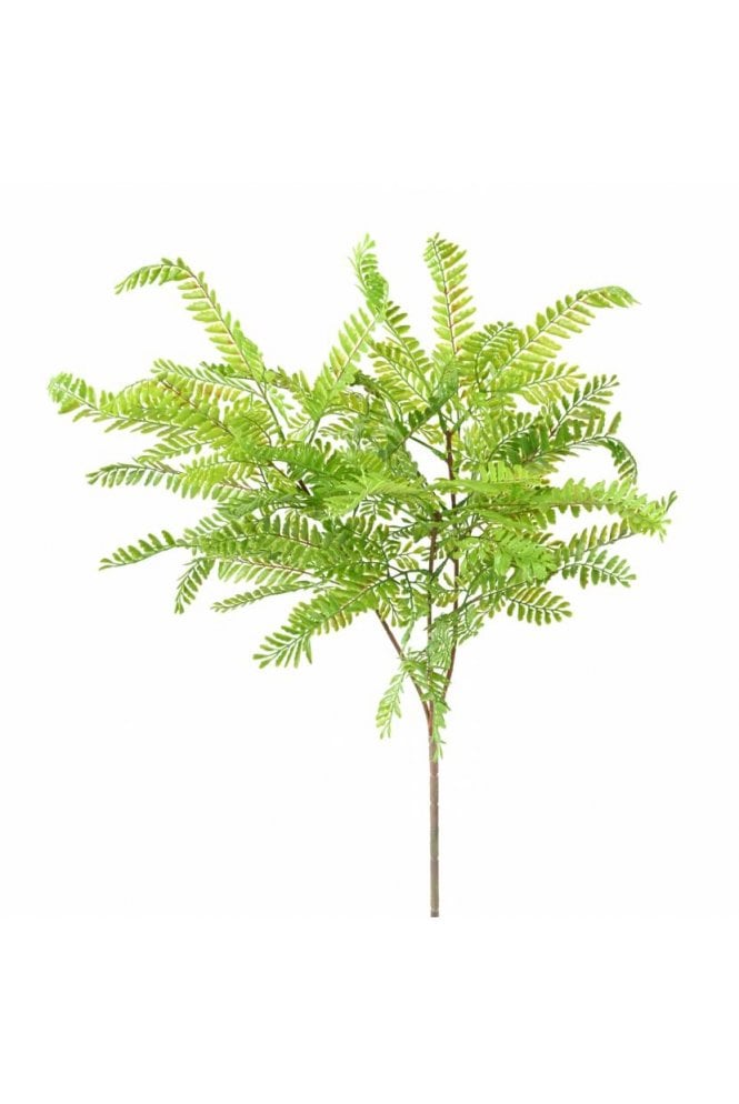 The Artificial Plants Shop Artificial Cassia Plant
